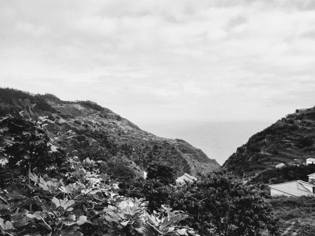 Quinta Do Serrado II Ribeira da Janela Εξωτερικό φωτογραφία
